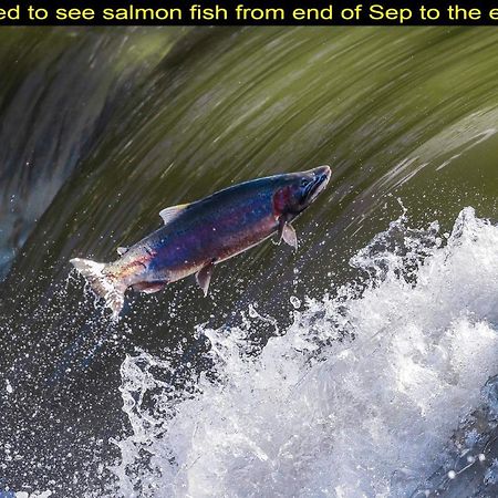 Salmon Magwood Guesthouse 多伦多 外观 照片