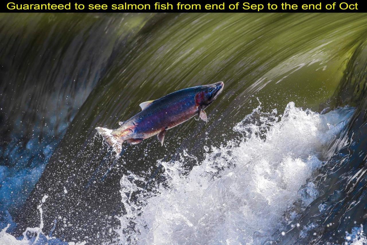 Salmon Magwood Guesthouse 多伦多 外观 照片